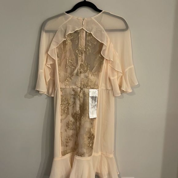 BCBGMaxAzria Cream and Tan Dress - Picture 5 of 10